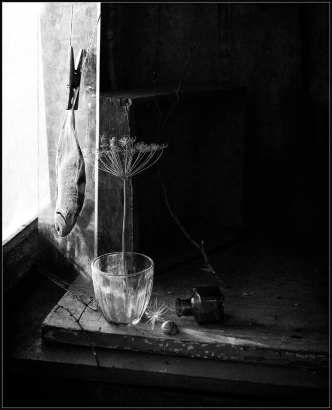 * * * фото превью