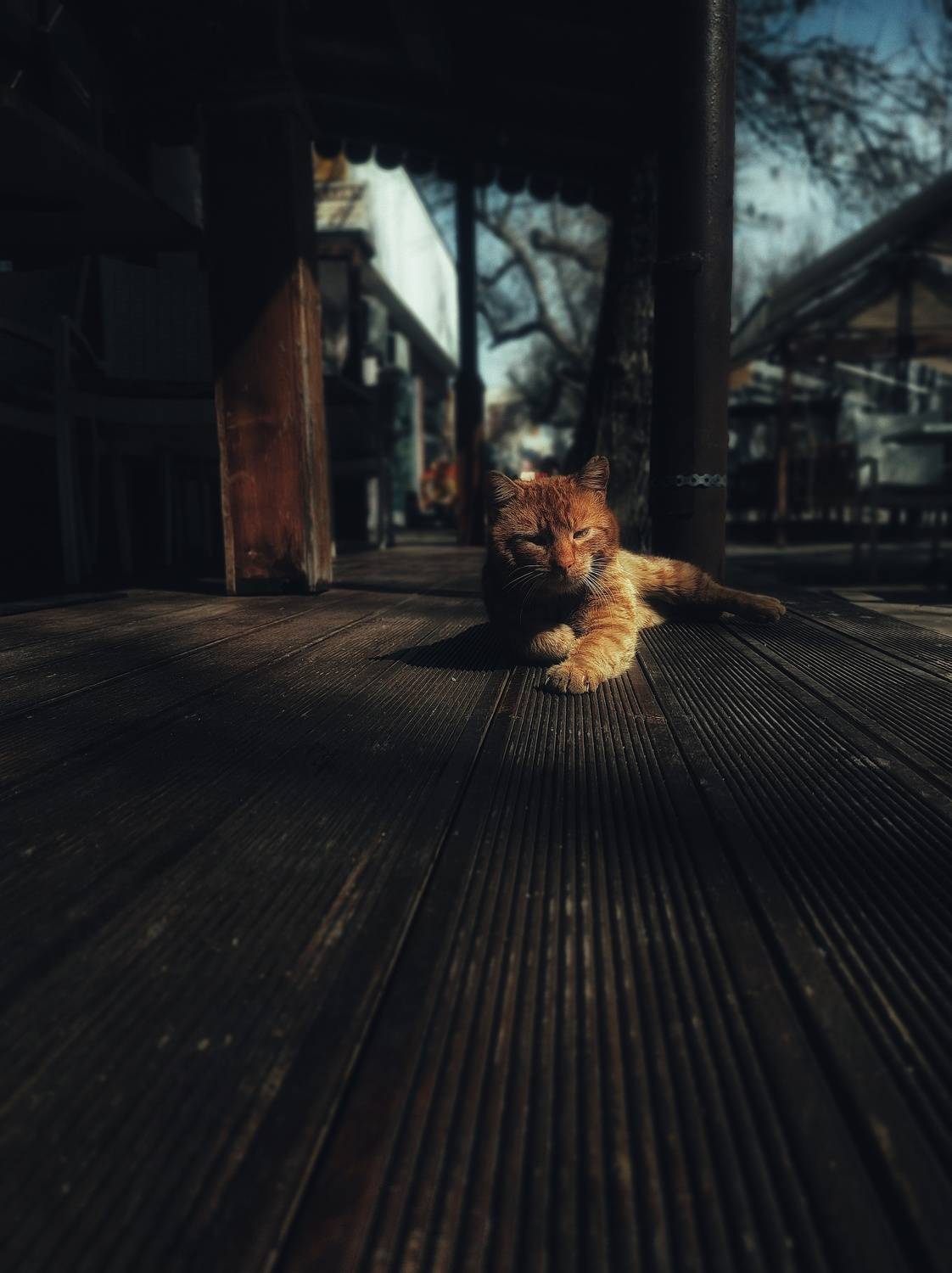 , Юлияна Стоянова