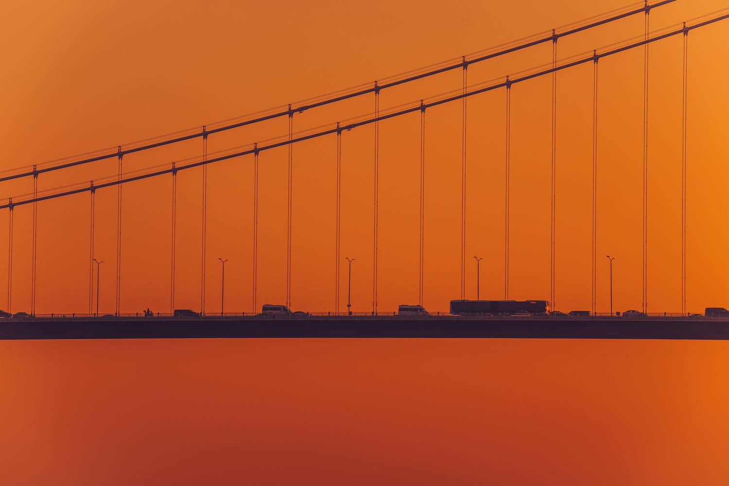 , Трепольский Дмитрий