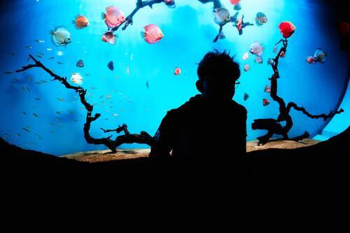 Прогулки по городу