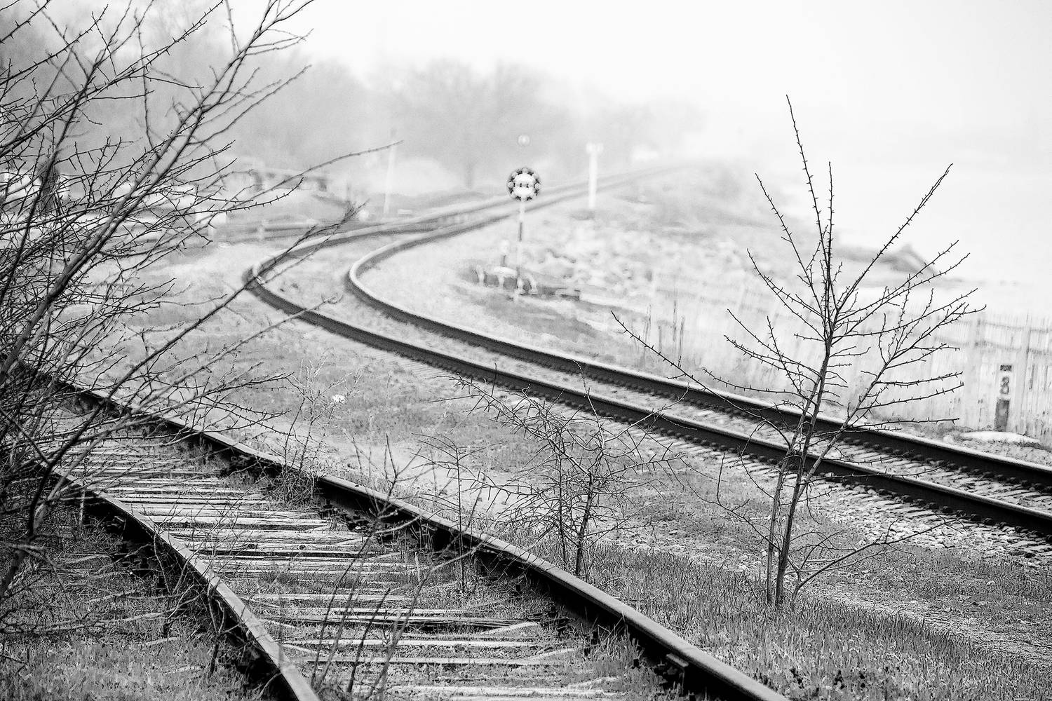 , Андрей Петросян