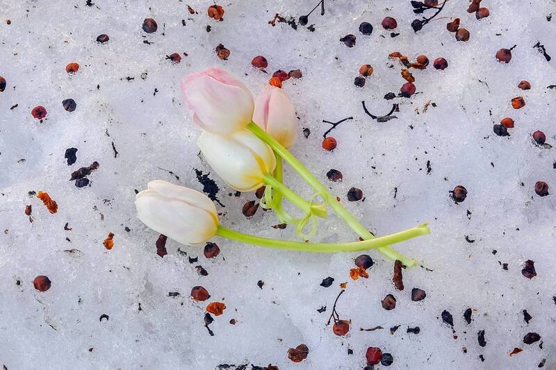 Был месяц март фото превью