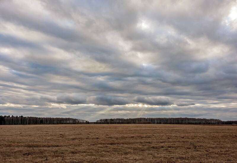 Мартовский вечер фото превью