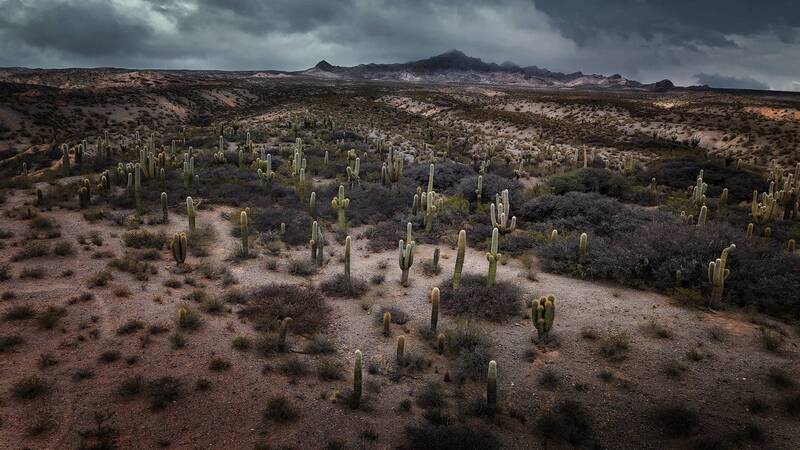Пальцы веером фото превью