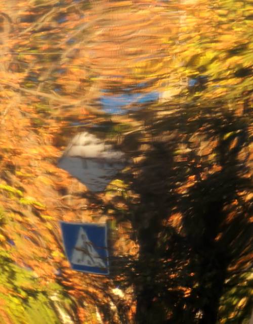 , Савоцкий Роман