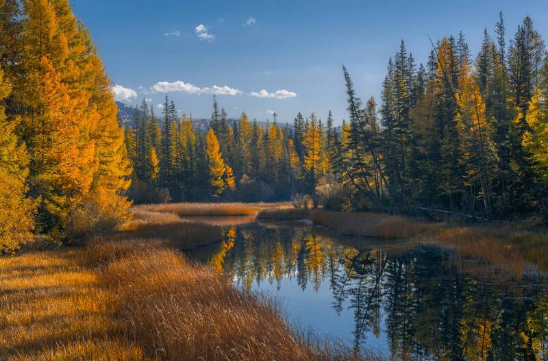 россия, горный алтай, водоём, отражение, утро, осень Тихий уголок фото превью