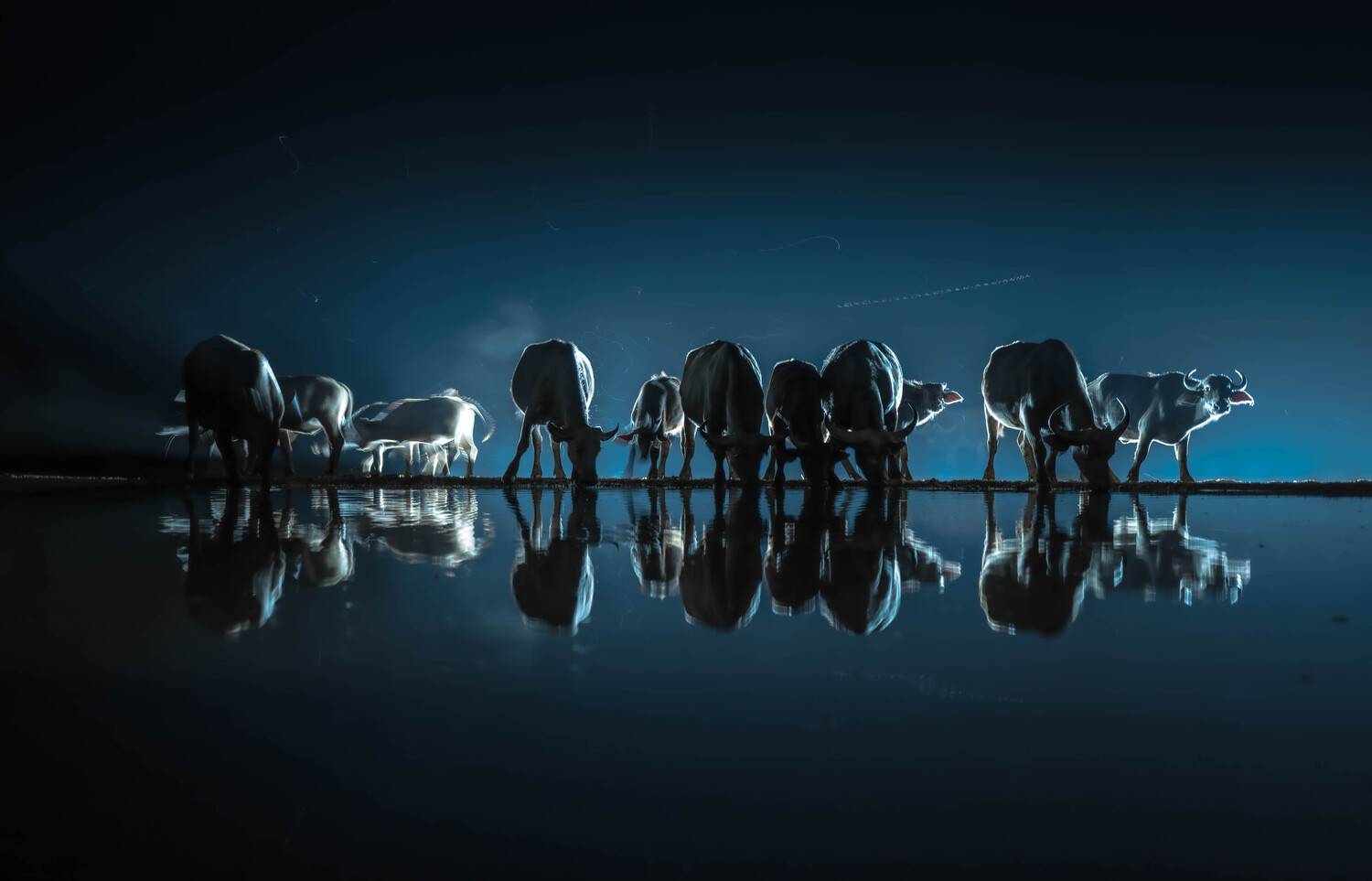 Кения, Сулоев Алексей