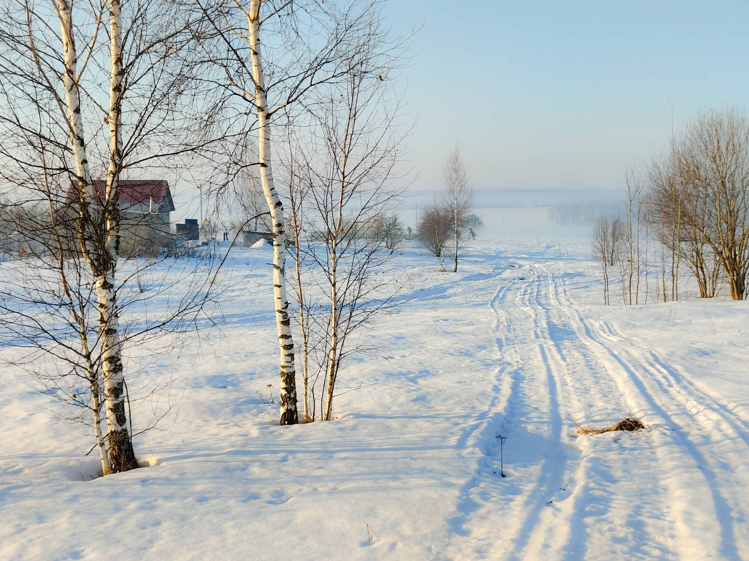 , Кондрашова Светлана