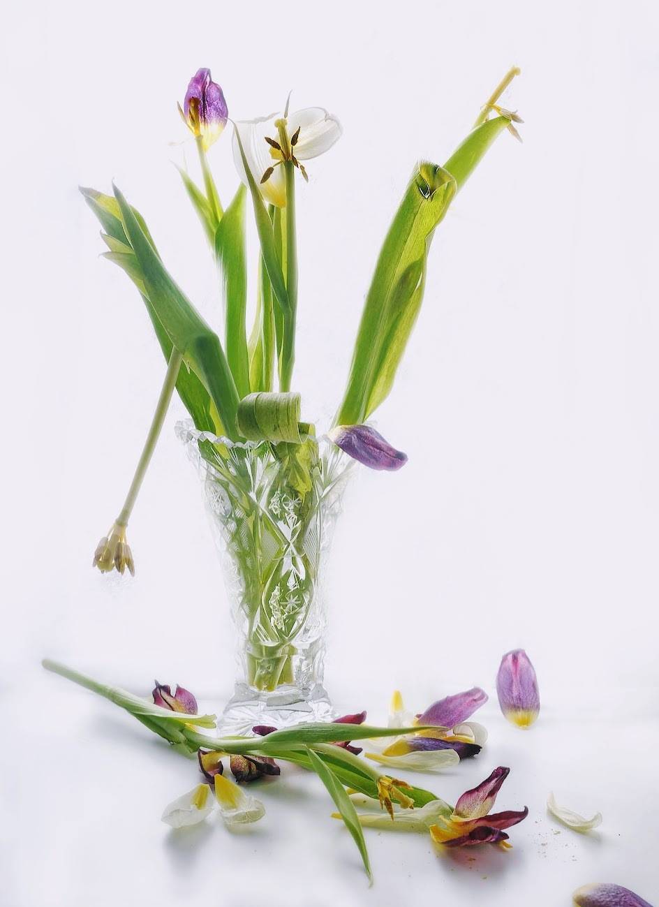 , Ирина Данилова