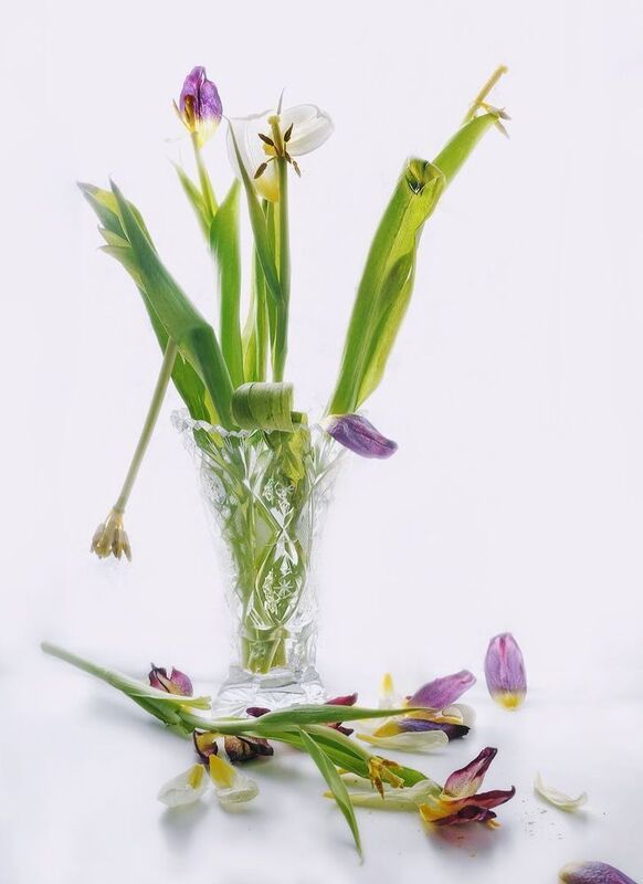 Вот и празднику конец... фото превью