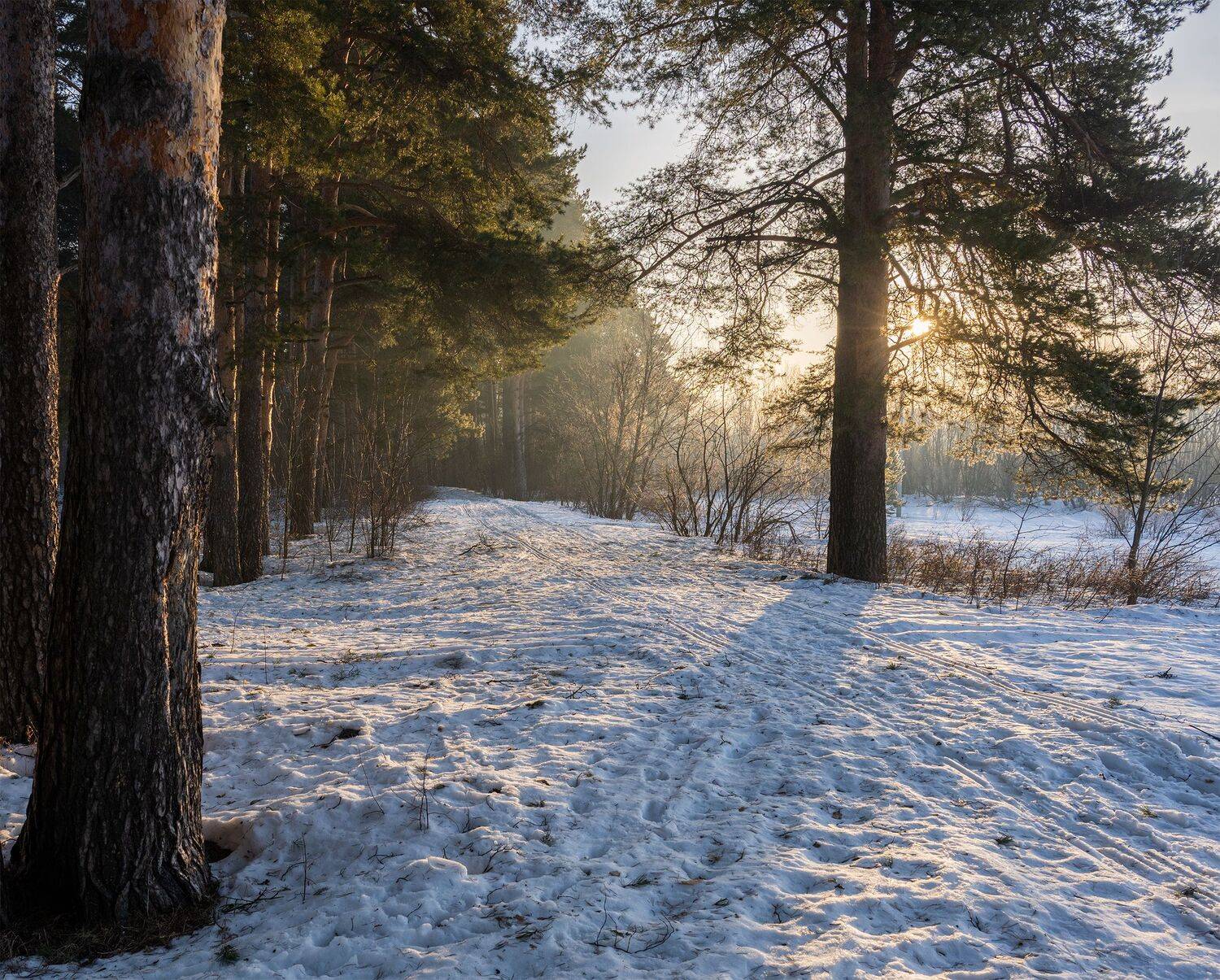 , Карепанов Евгений