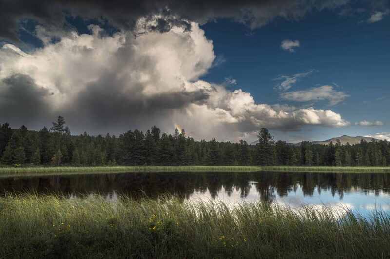 После дождя фото превью