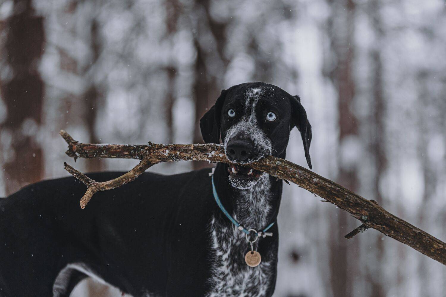 , Полина Беспалова