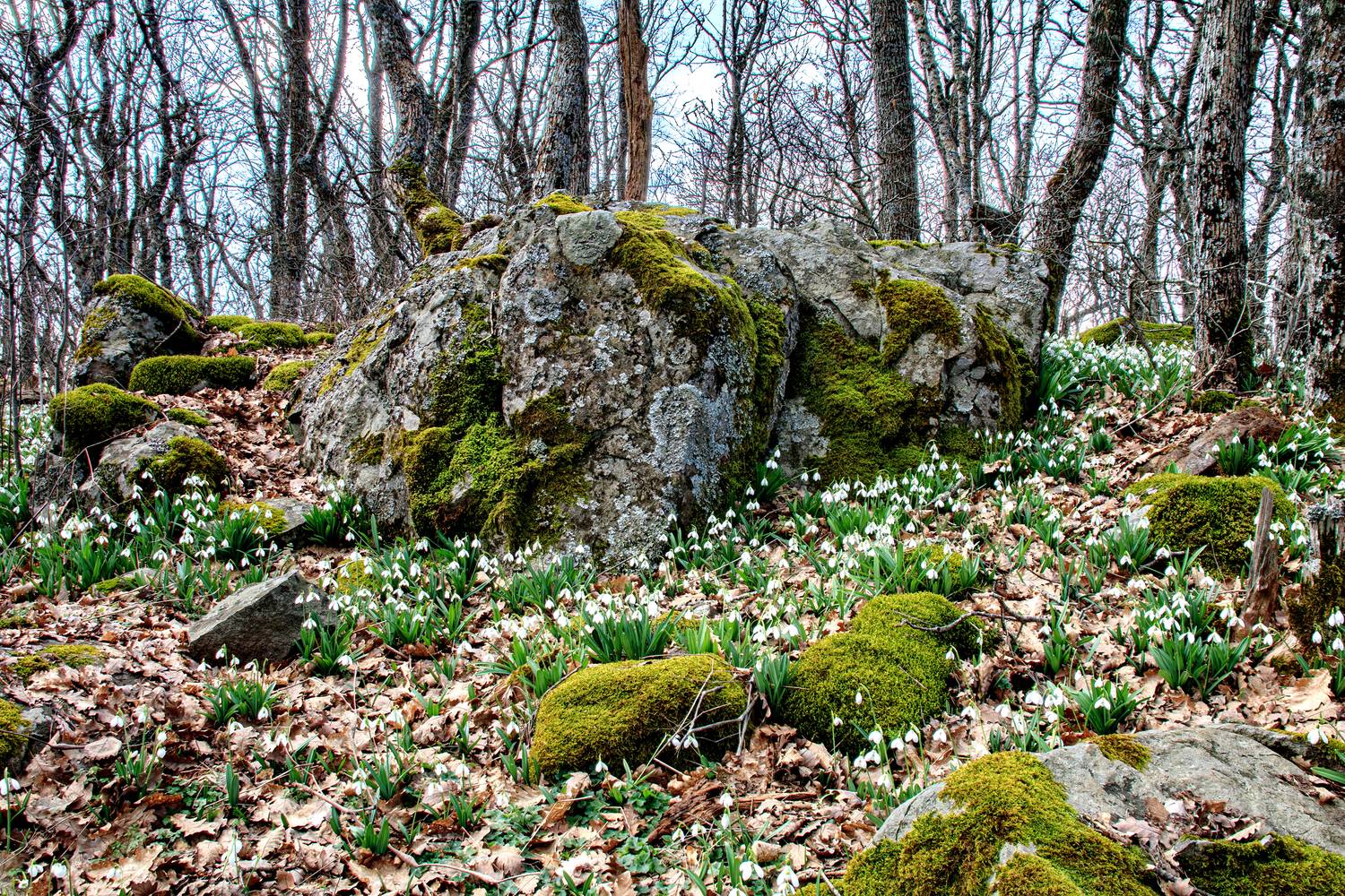крым, Добролюбова Тамара