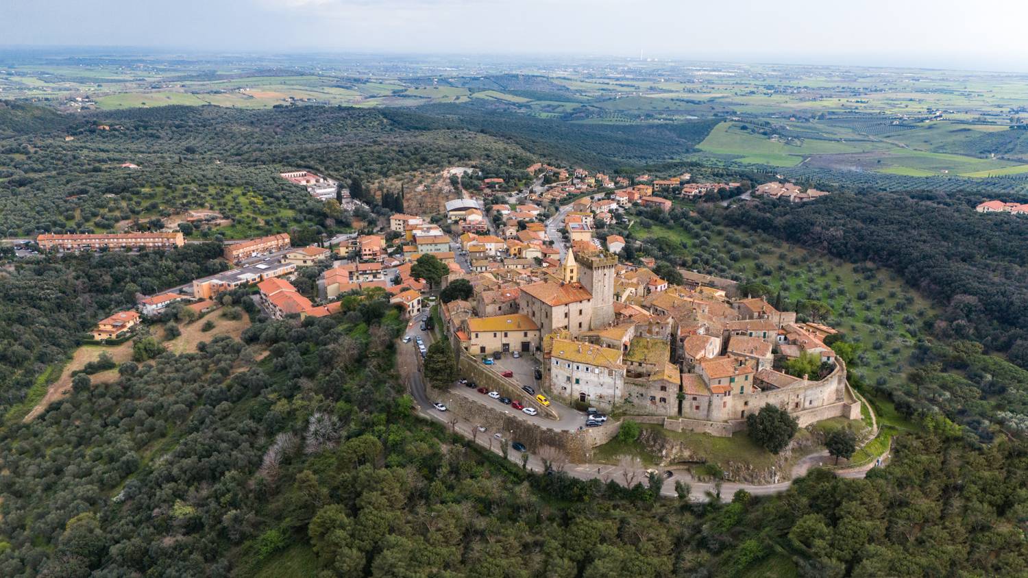 , Максимова Дария