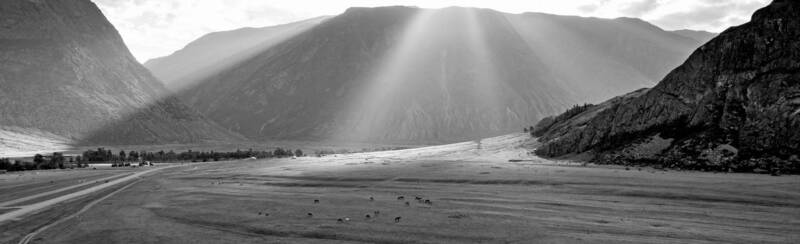 алтай, чулышман, лучи, лошади, долина, природа Свет долины реки Чулышман фото превью