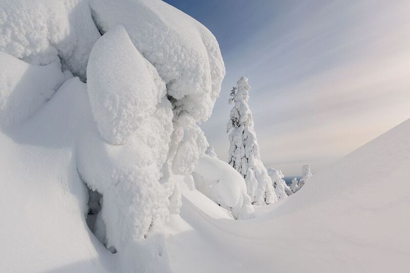 Урал, Полюд, Зима Полюд. Белый покой фото превью