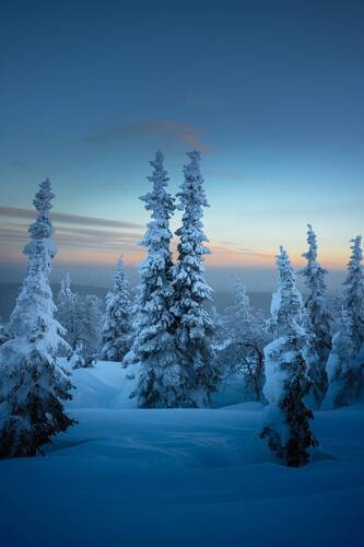 Вечерний дозор