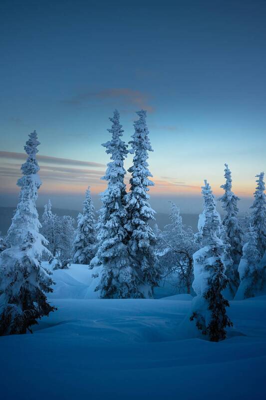 главный уральский хребет, гух, сосьвинский камень, казанский камень, север, урал, снег, куржак Вечерний дозор фото превью
