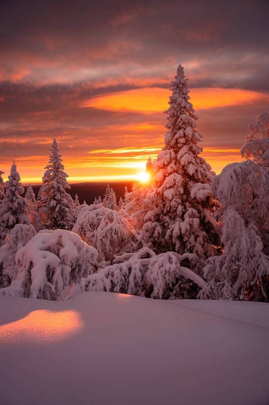 уреньга, урал, снег, куржак, рассвет Объятый огнём фото превью