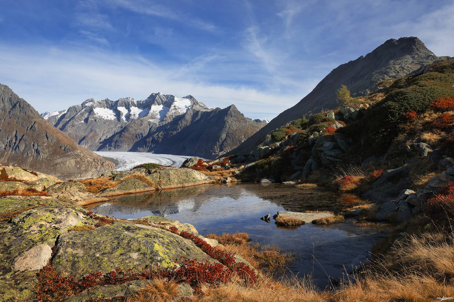 swiss, Матвеев Николай