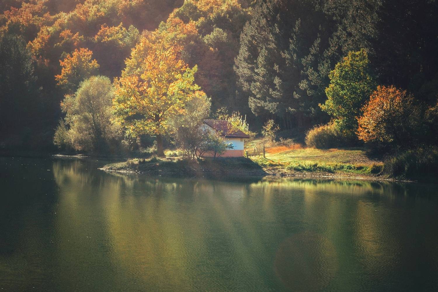 , Юлияна Стоянова