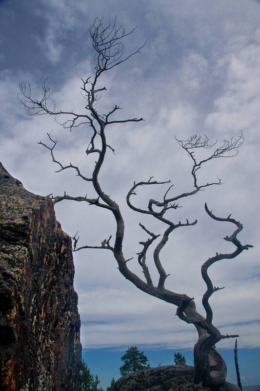 Прогулка по островам Белого моря фото превью