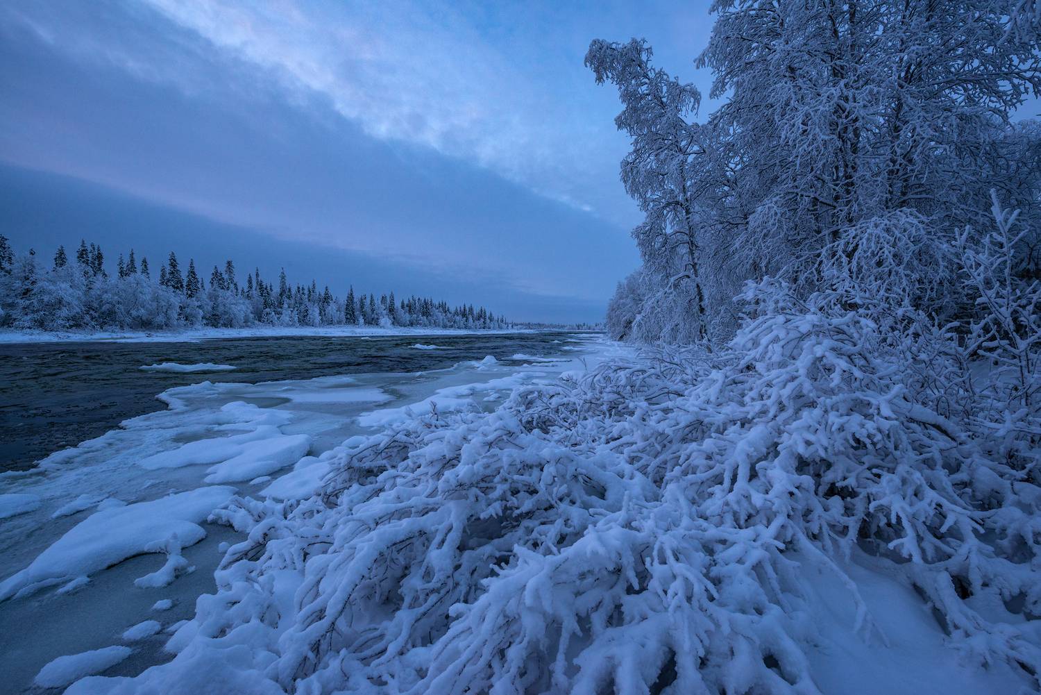 , Роман Горячий