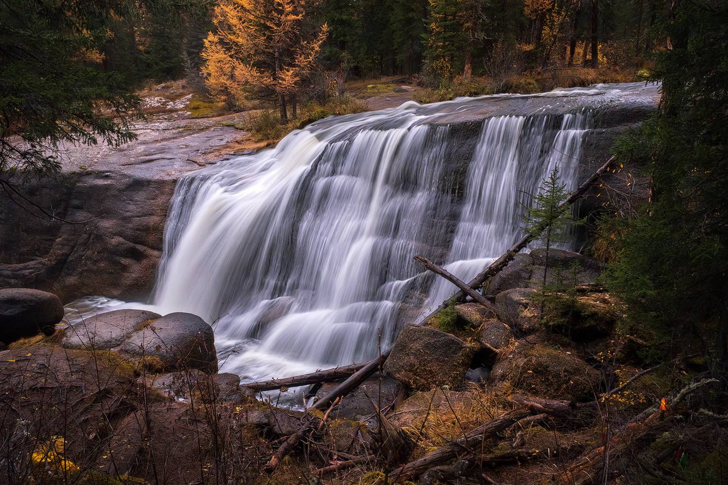 , Бодрягин Виталий