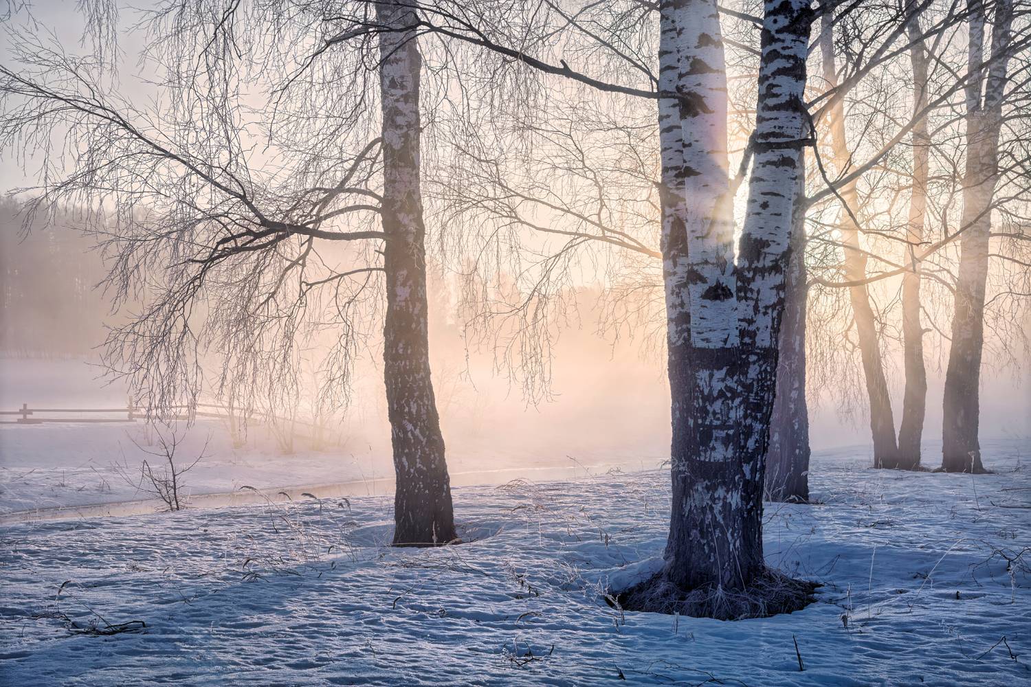 , Евгений Ерохин