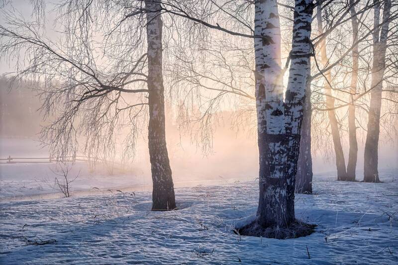 * фото превью