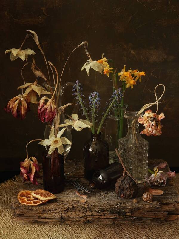 Эстетика увядания фото превью