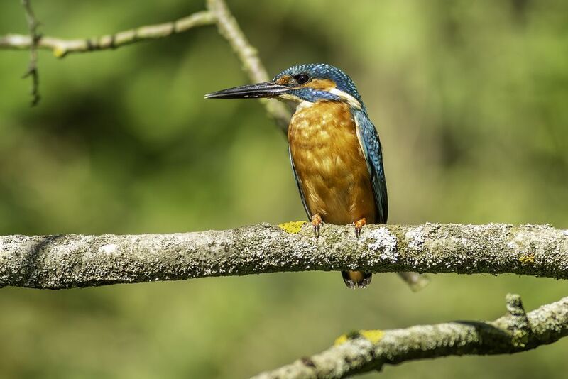 В ожидании хорошего улова. фото превью