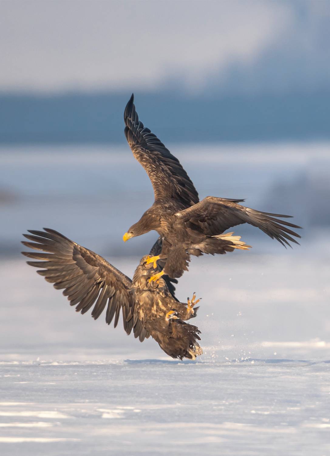 , Lozhkin Vyacheslav