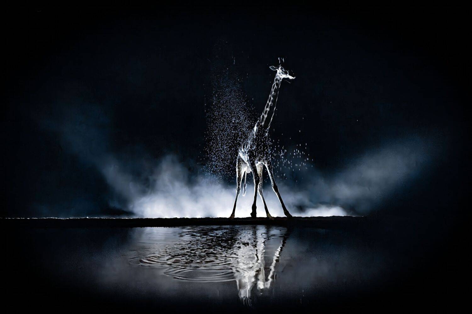 , Сулоев Алексей