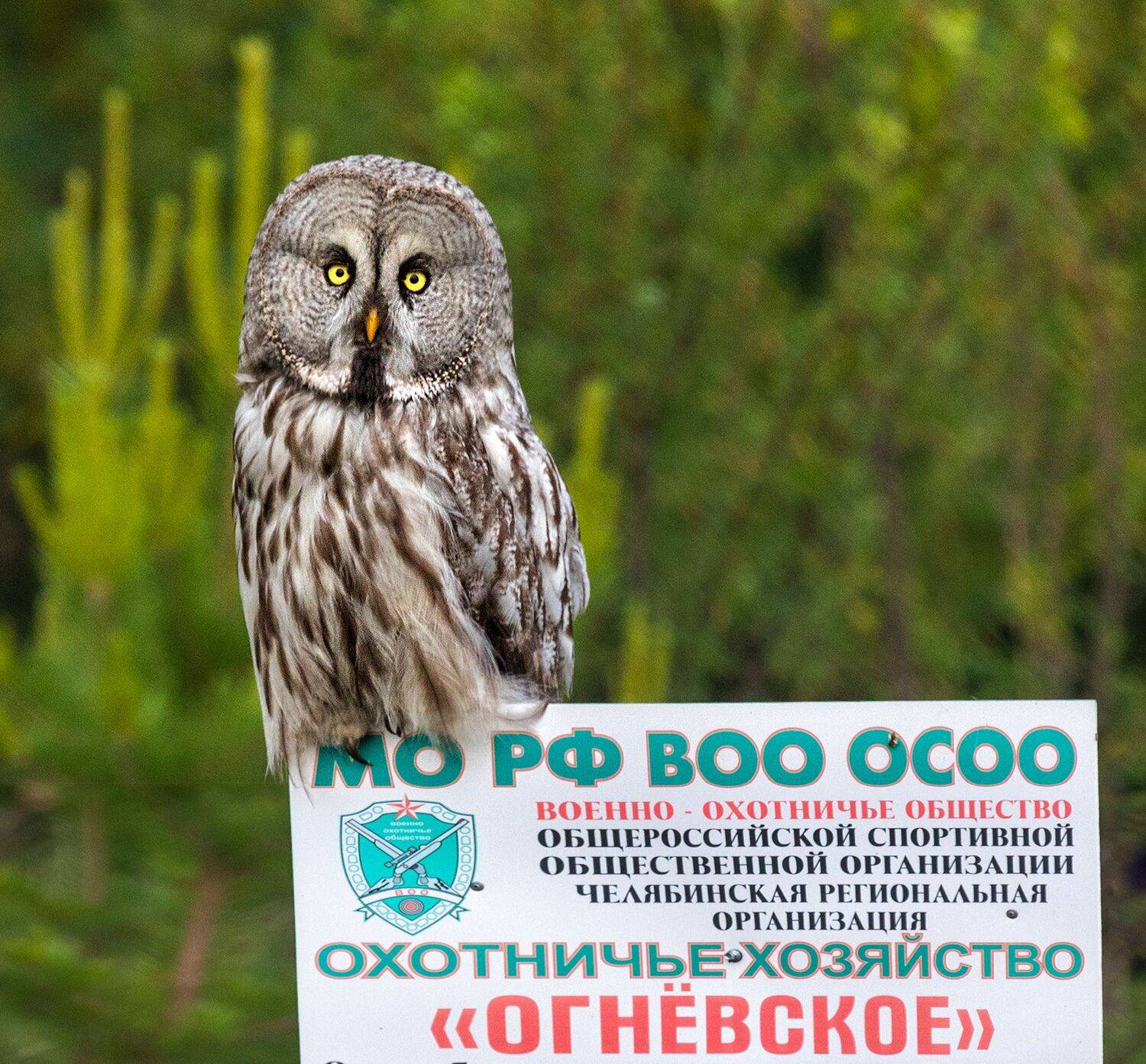 , Ушаков Валерий