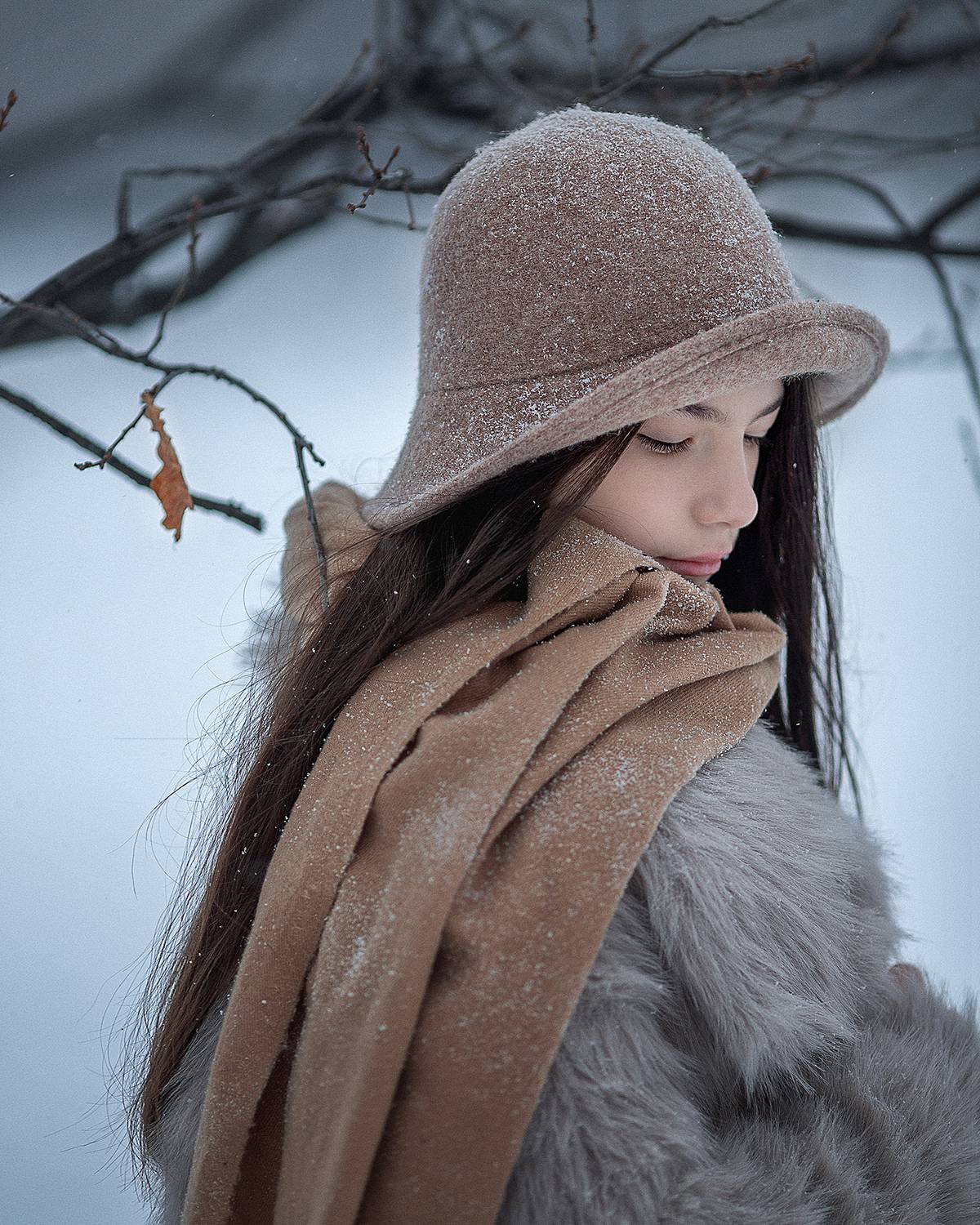 , Солнечный Александр