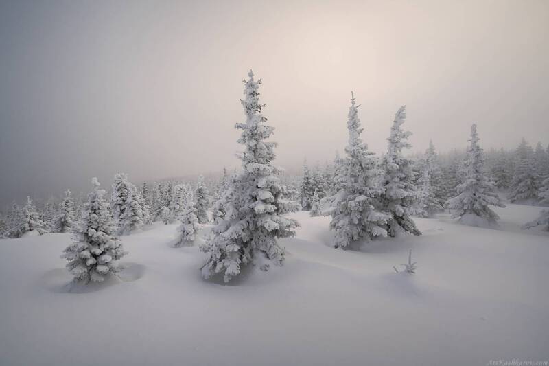 таганай, южный урал, уральские горы, снежные ели, челябинская область Ели Таганая фото превью