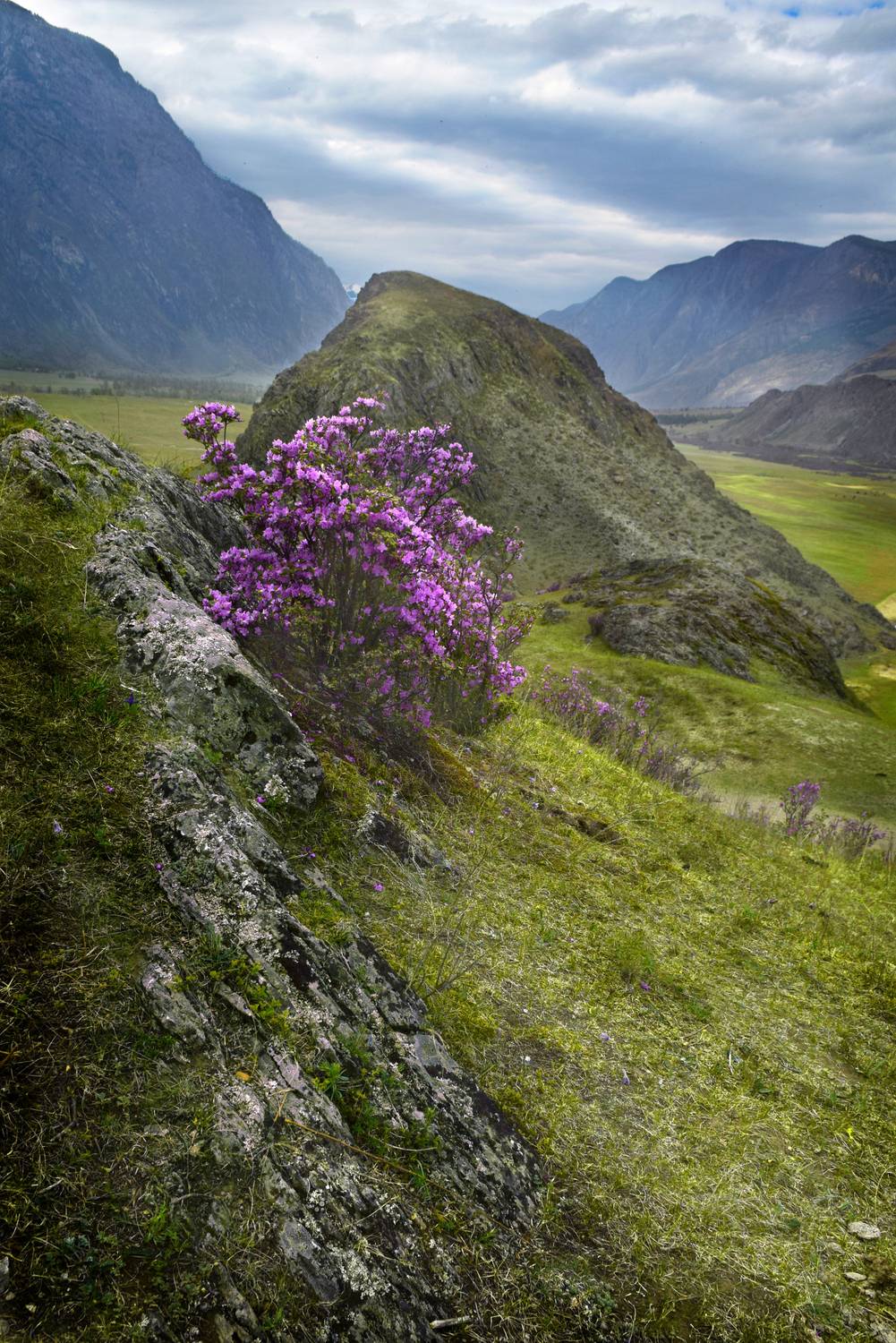 , Крат Светлана