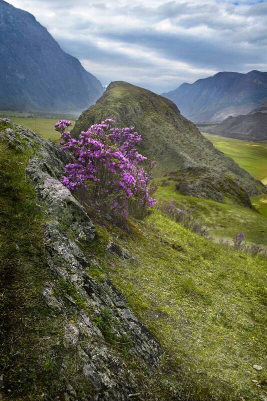 Весна фото превью