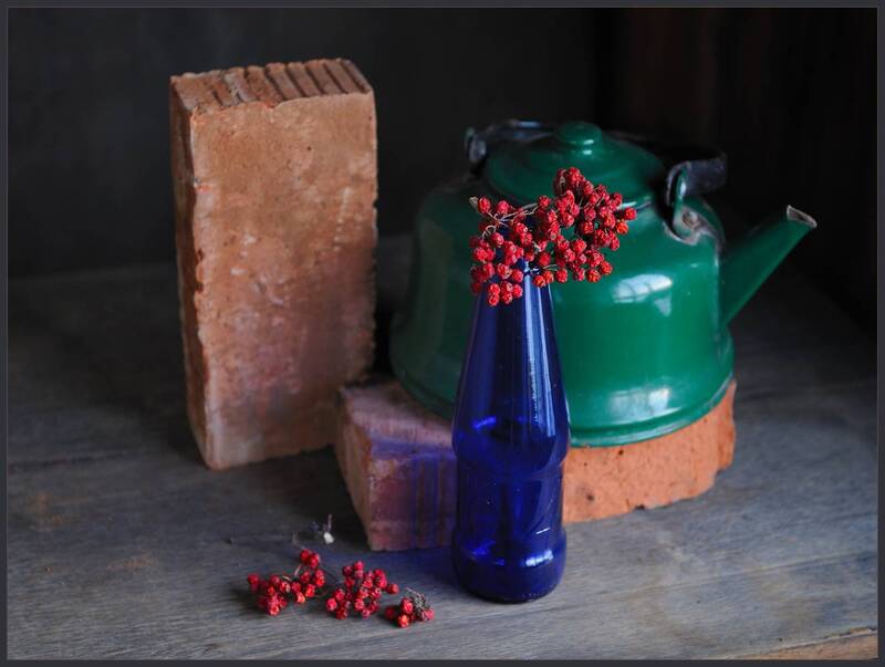 С прошлогодней рябиной фото превью