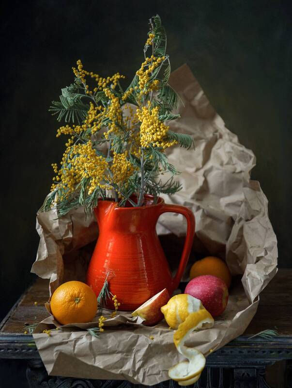 Мимоза фото превью