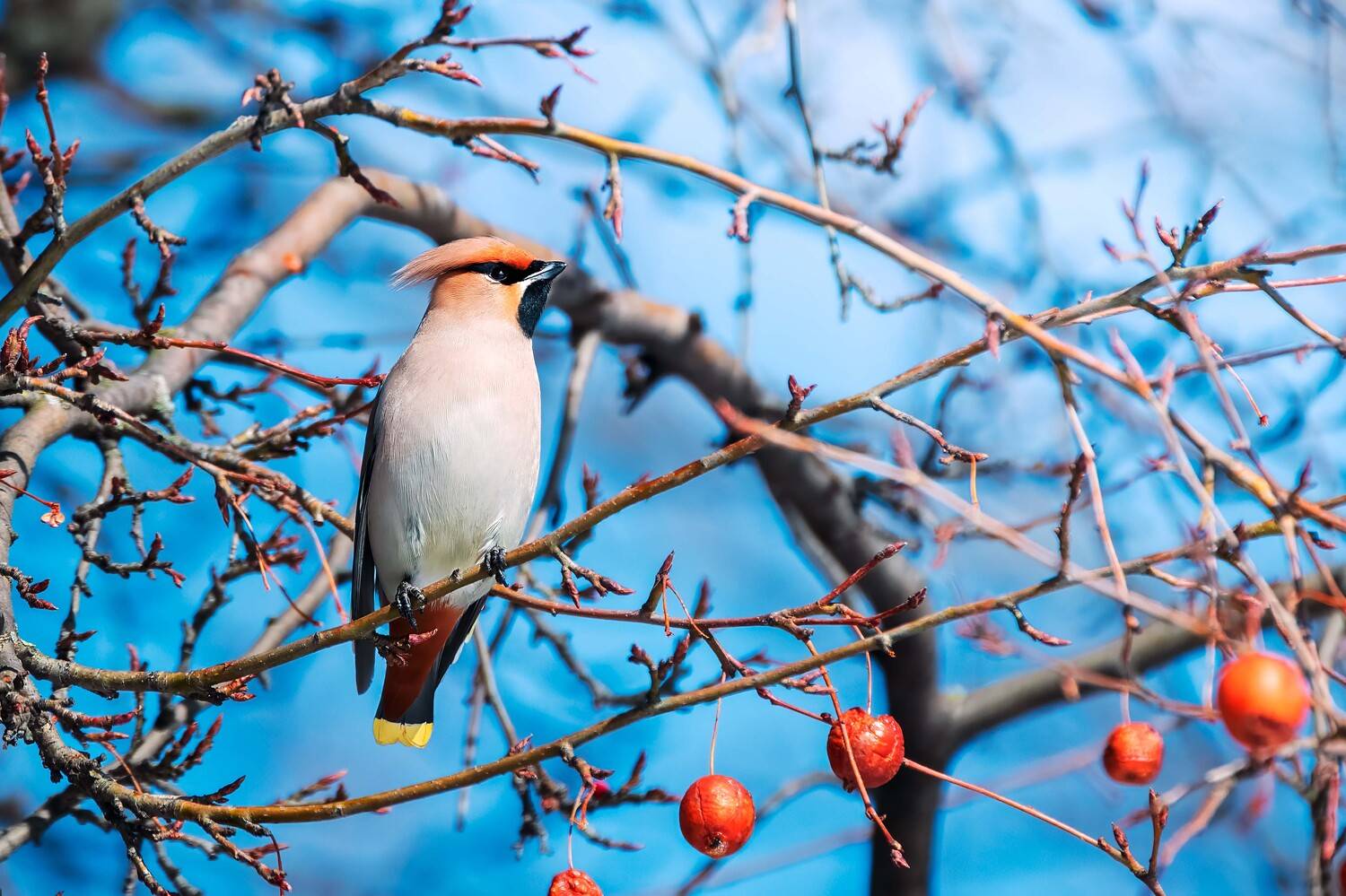 , Павел Ныриков
