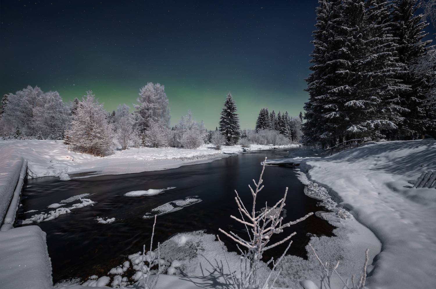 , Алексей Турчин