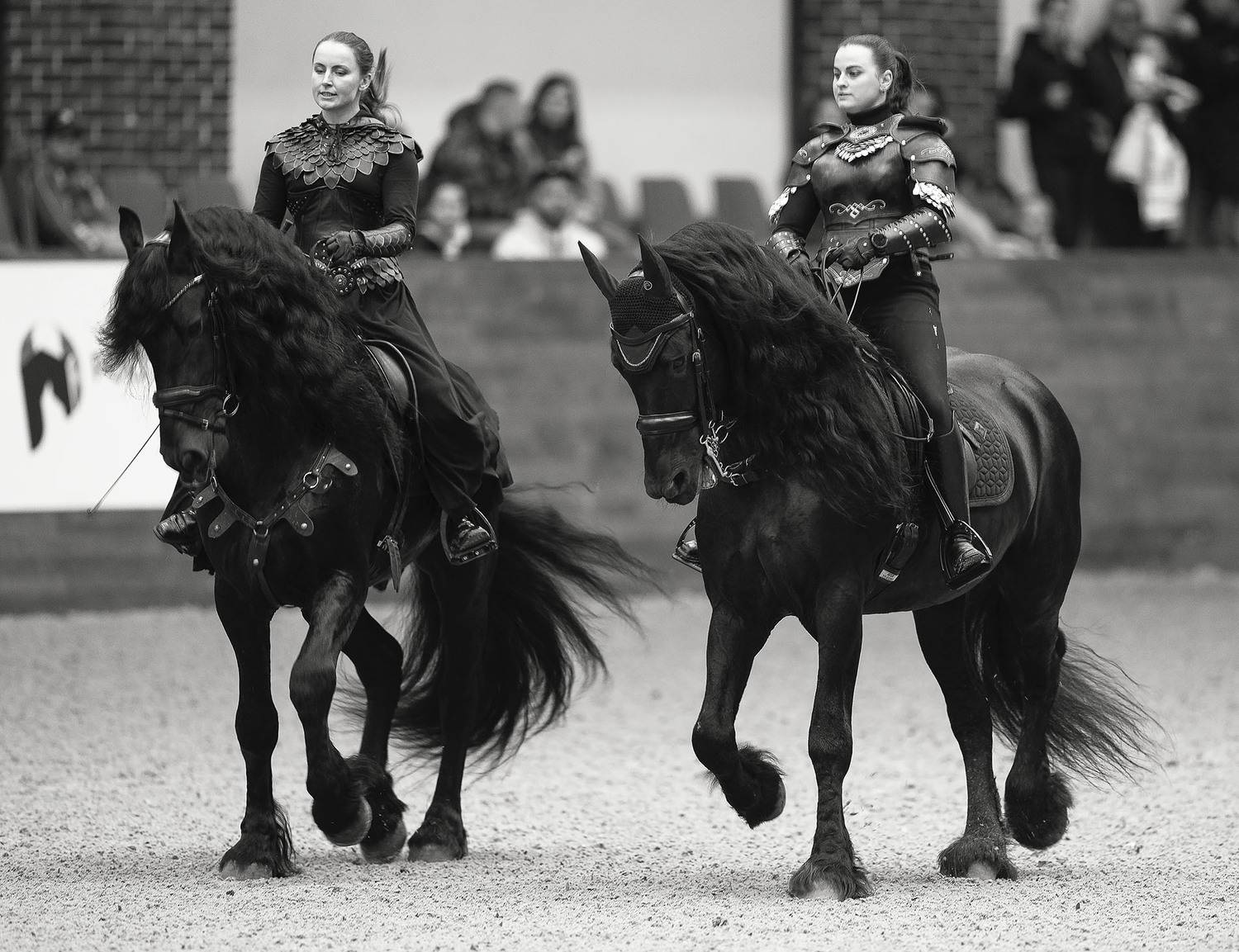 выступление, спорт, horses, competition, sport, Стукалова Юлия
