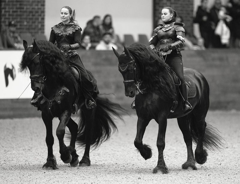 выступление, спорт, horses, competition, sport Синхронность на четверых фото превью