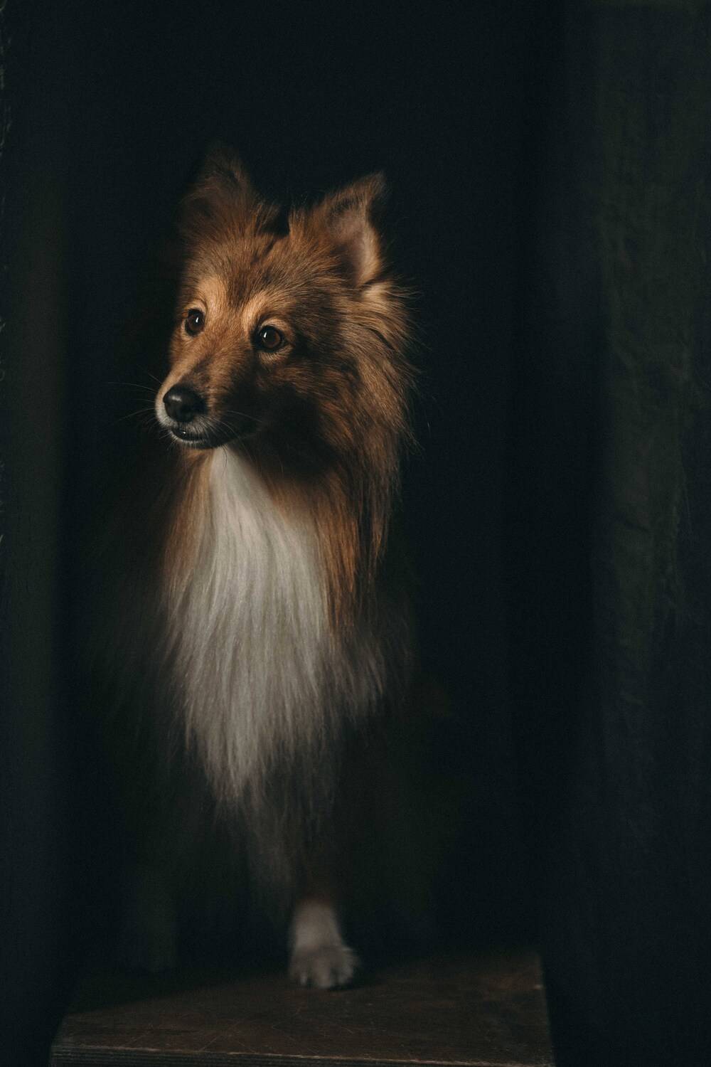 , Мороз Ирина