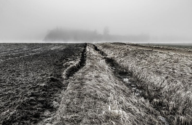 melnbalts, ainava, daba, līnijas Melnbaltā ainava фото превью
