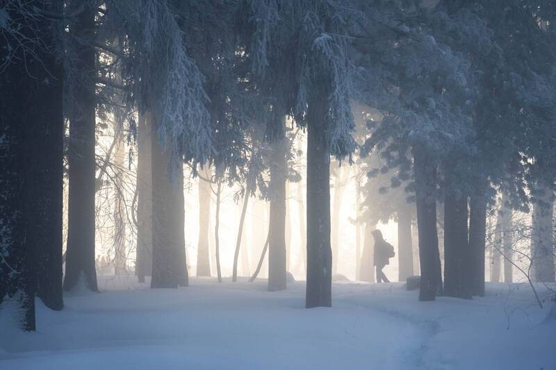 Морозная свежесть… Frosty freshness... фото превью