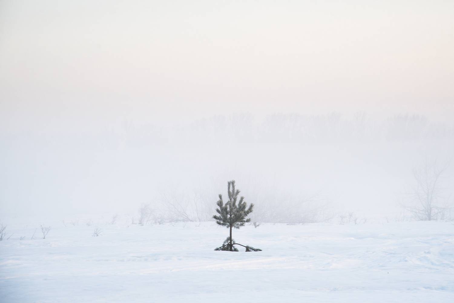 , Малыгин Андрей